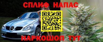 шишки Чебаркуль