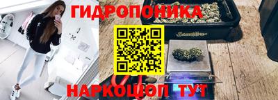 шишки Чебаркуль