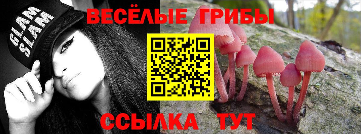 Галлюциногенные грибы Magic Shrooms  Вход с VPN  Джанкой 