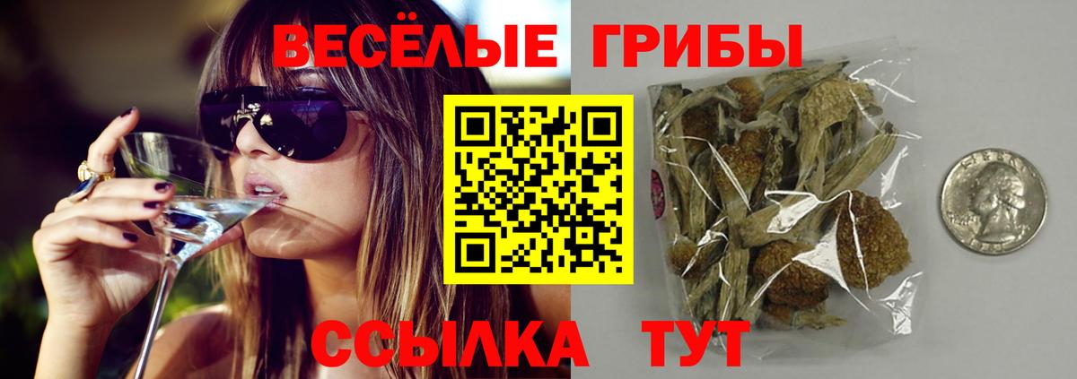 Псилоцибиновые грибы Psilocybine cubensis Джанкой